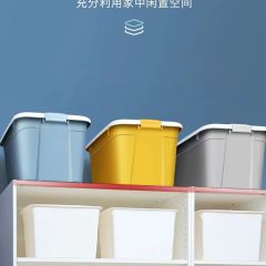 52L大号蝶彩混色收纳箱